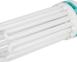 CFL