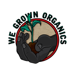 Consultation Services